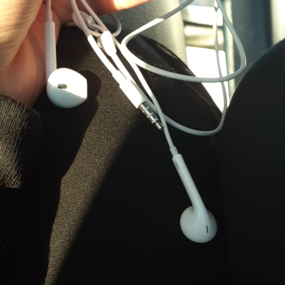 Apple earpods